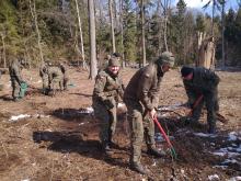 Wojsko Polskie pomaga w sadzeniu lasu