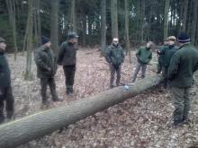 Szkolenie z klasyfikacji drewna