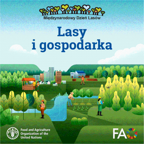 Międzynarodowy Dzień Lasów: lasy dla gospodarki i bezpieczeństwa